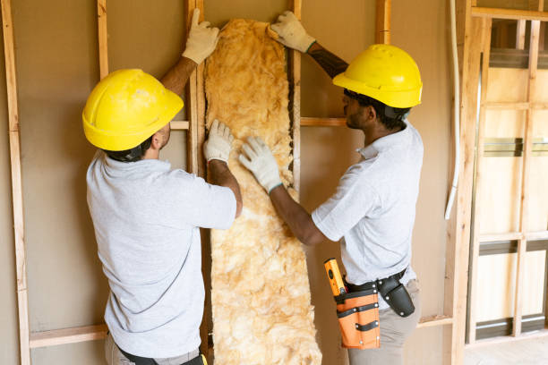 Best Garage Insulation  in Decatur, GA